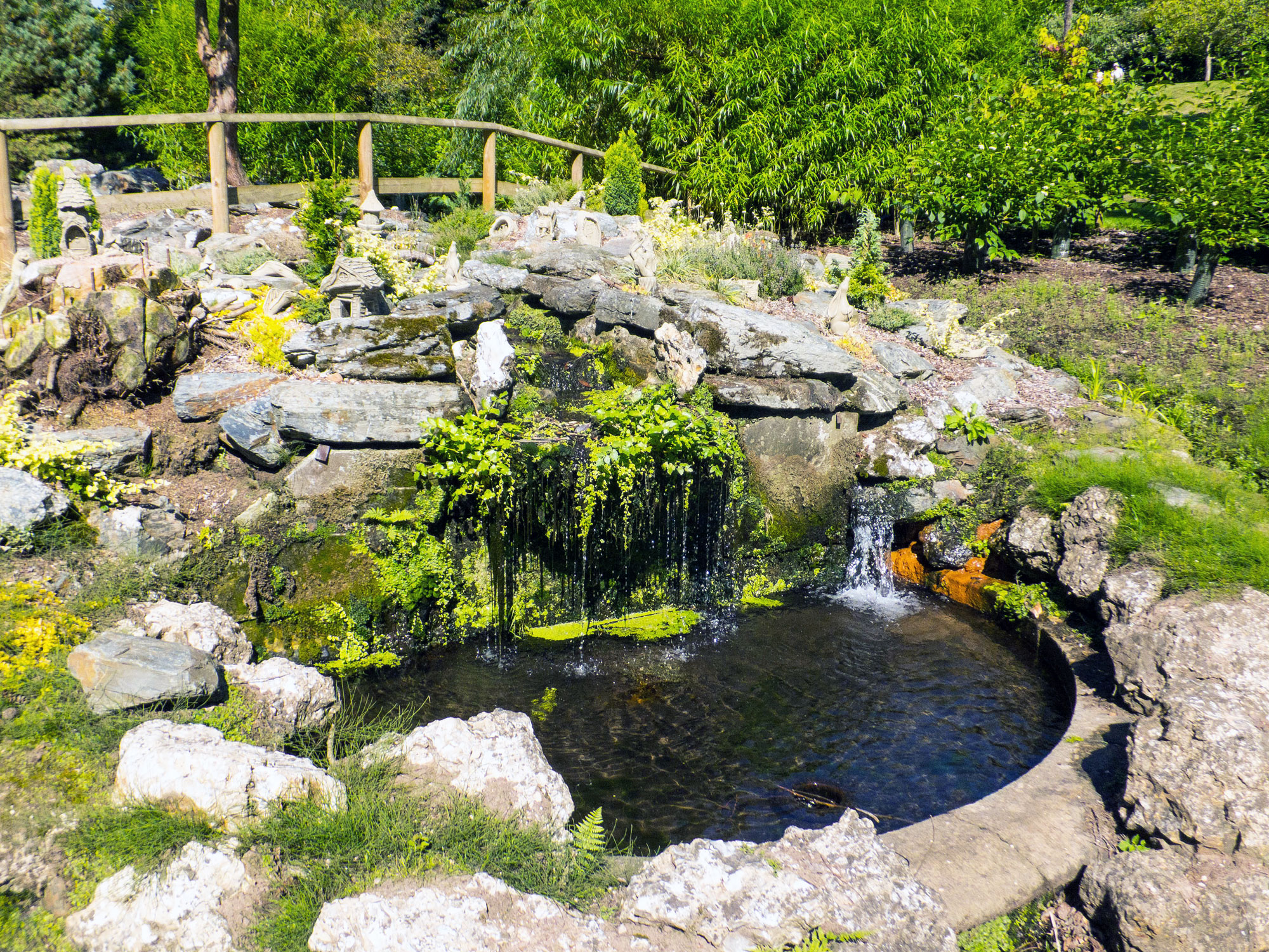 DSCF4606_web2