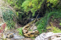 DSCF4562_web2