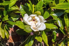 DSCF4586_web2