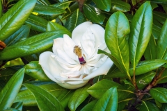 DSCF4589_web2