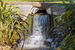 DSCF4595_web2