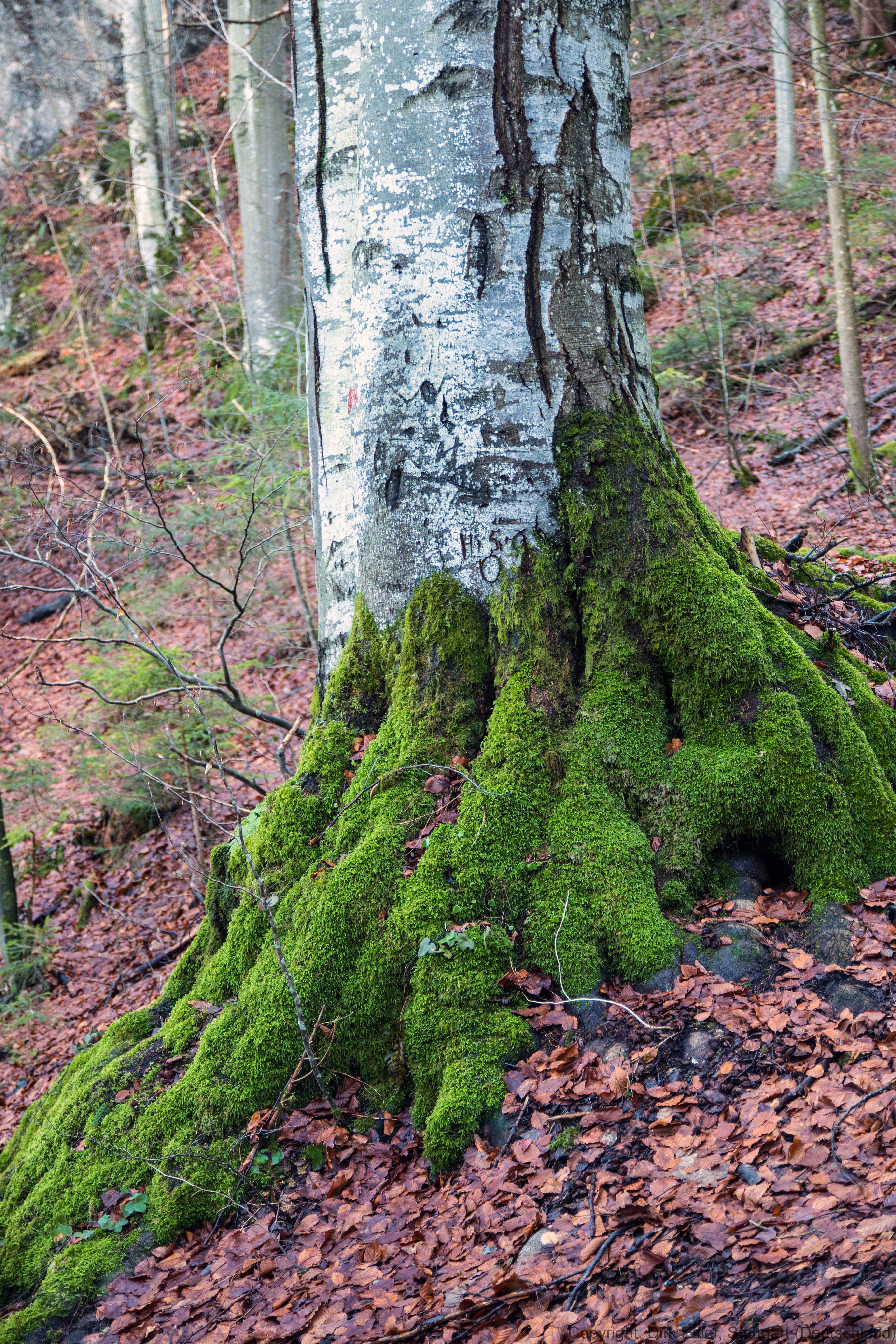 Y8A2667_web